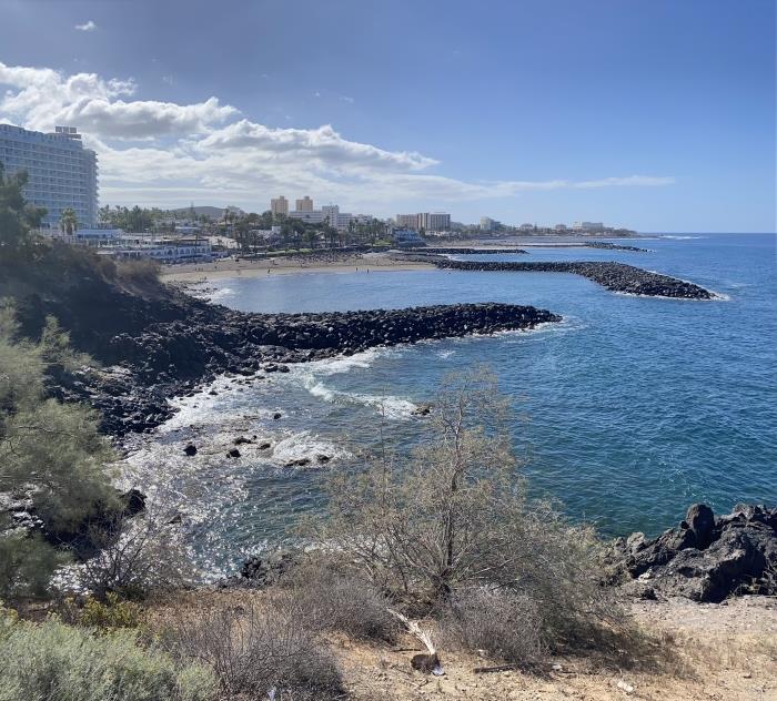 Surf a Tenerife: un paradiso per gli amanti delle onde